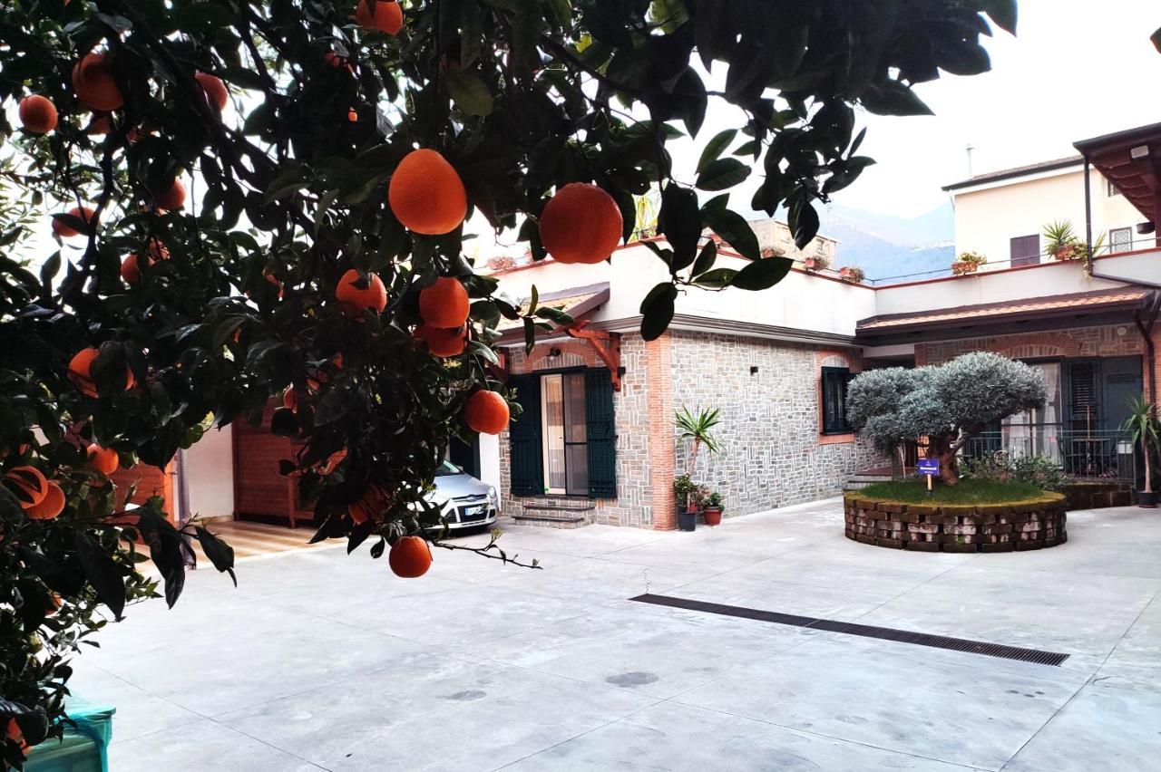 Hotel Midway House Italy Sant'Egidio del Monte Albino Exterior foto